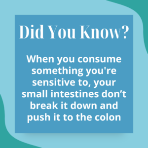 your small intestines don’t break down sensitivities, they push it to the colon